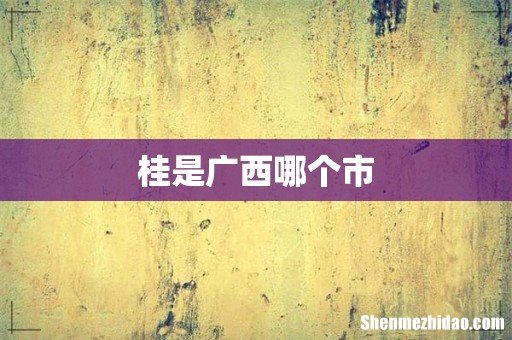 桂是广西哪个市