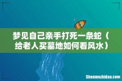 给老人买墓地如何看风水 梦见自己亲手打死一条蛇