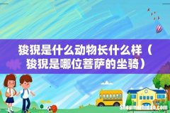 狻猊是哪位菩萨的坐骑 狻猊是什么动物长什么样