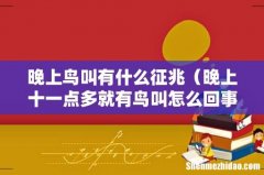 晚上十一点多就有鸟叫怎么回事 晚上鸟叫有什么征兆