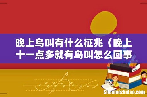 晚上十一点多就有鸟叫怎么回事 晚上鸟叫有什么征兆