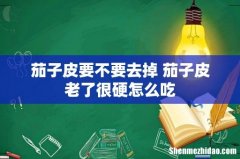 茄子皮要不要去掉 茄子皮老了很硬怎么吃