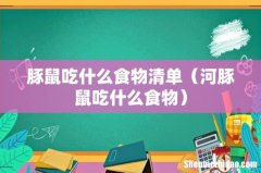 河豚鼠吃什么食物 豚鼠吃什么食物清单