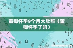 董卿怀孕了吗 董卿怀孕9个月大肚照