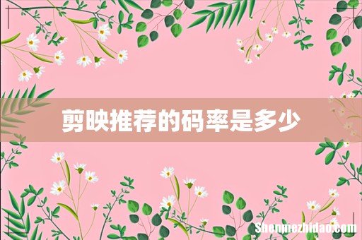 剪映推荐的码率是多少