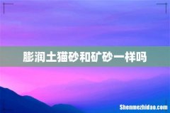 膨润土猫砂和矿砂一样吗