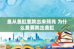 鱼从鱼缸里跳出来预兆 为什么鱼要跳出鱼缸