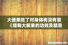 缅甸大解果的功效及禁忌 大便果吃了对身体有没有害