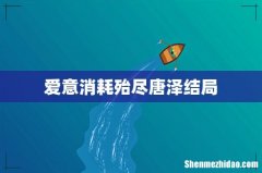 爱意消耗殆尽唐泽结局