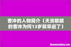天资聪颖的曹冲为何13岁就早逝了 曹冲的人物简介