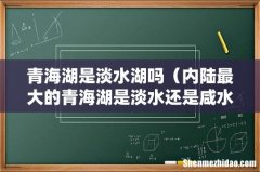 内陆最大的青海湖是淡水还是咸水 青海湖是淡水湖吗