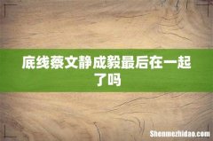 底线蔡文静成毅最后在一起了吗
