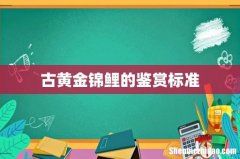 古黄金锦鲤的鉴赏标准