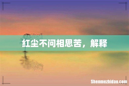 红尘不问相思苦，解释