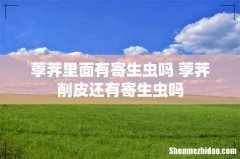 荸荠里面有寄生虫吗 荸荠削皮还有寄生虫吗