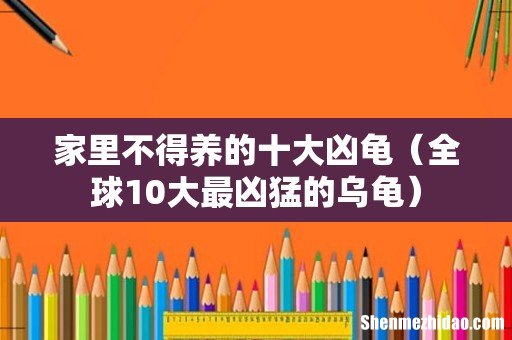 全球10大最凶猛的乌龟 家里不得养的十大凶龟