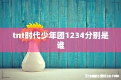 tnt时代少年团1234分别是谁