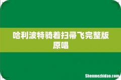 哈利波特骑着扫帚飞完整版原唱