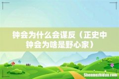 正史中钟会为啥是野心家 钟会为什么会谋反