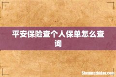 平安保险查个人保单怎么查询