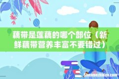 新鲜藕带营养丰富不要错过 藕带是莲藕的哪个部位