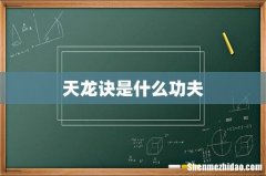 天龙诀是什么功夫