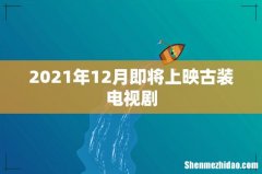 2021年12月即将上映古装电视剧