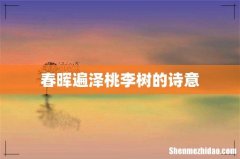 春晖遍泽桃李树的诗意