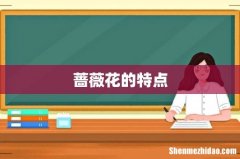 蔷薇花的特点