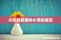 火风的前妻仲小萍的简历