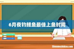 6月夜钓鲤鱼最佳上鱼时间