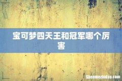 宝可梦四天王和冠军哪个厉害