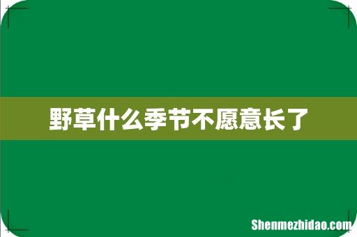 野草什么季节不愿意长了