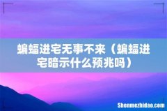 蝙蝠进宅暗示什么预兆吗 蝙蝠进宅无事不来