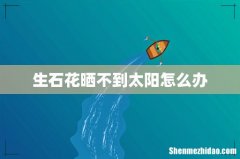生石花晒不到太阳怎么办