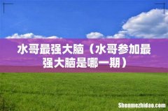 水哥参加最强大脑是哪一期 水哥最强大脑