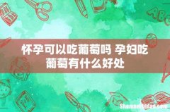 怀孕可以吃葡萄吗 孕妇吃葡萄有什么好处