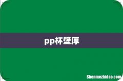 pp杯壁厚