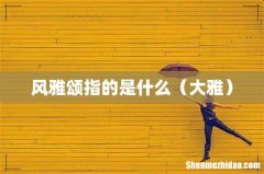 大雅 风雅颂指的是什么