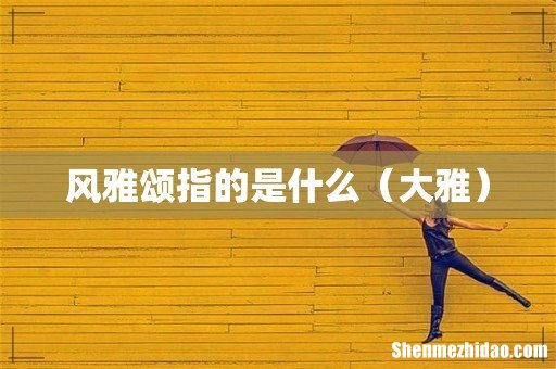 大雅 风雅颂指的是什么