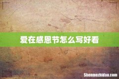 爱在感恩节怎么写好看