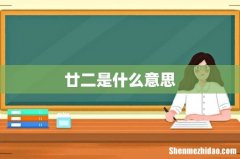 廿二是什么意思
