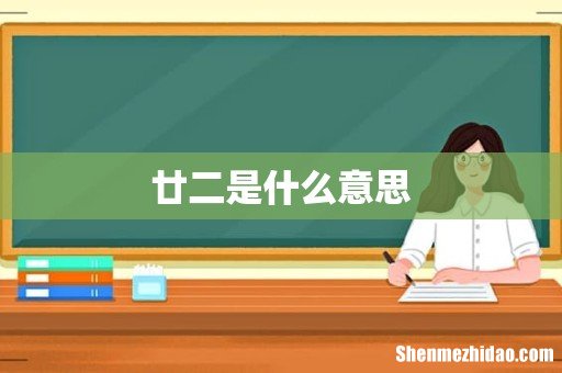 廿二是什么意思