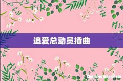 追爱总动员插曲