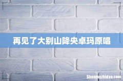 再见了大别山降央卓玛原唱