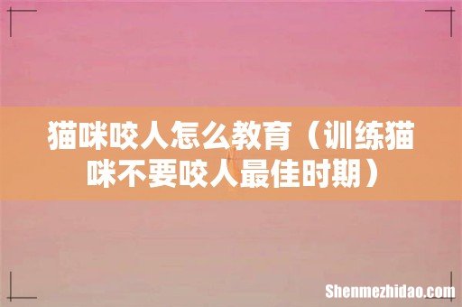 训练猫咪不要咬人最佳时期 猫咪咬人怎么教育