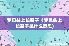 梦见头上长虱子（梦见头上长虱子是什么意思)