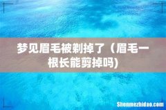 梦见眉毛被剃掉了（眉毛一根长能剪掉吗)