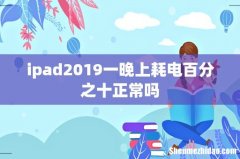 ipad2019一晚上耗电百分之十正常吗