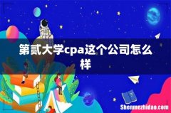 第贰大学cpa这个公司怎么样